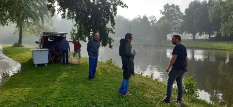 Wegvangen van de rode Amerikaanse rivierkreeft in Ede