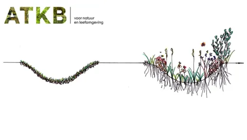 Waarom infiltreert regenwater beter via een EcoWadi?