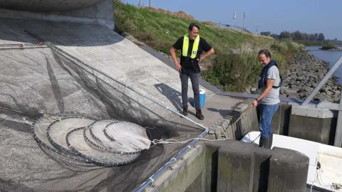 Visveiligheid van gemaalpompen op basis van NEN 8775