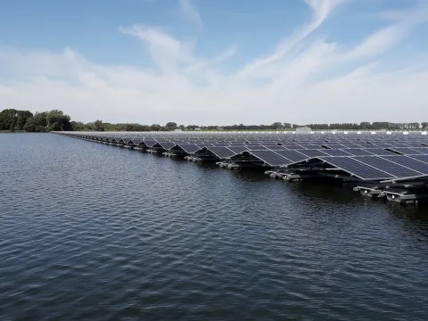 Eerste resultaten ecologische effecten drijvend zonnepark