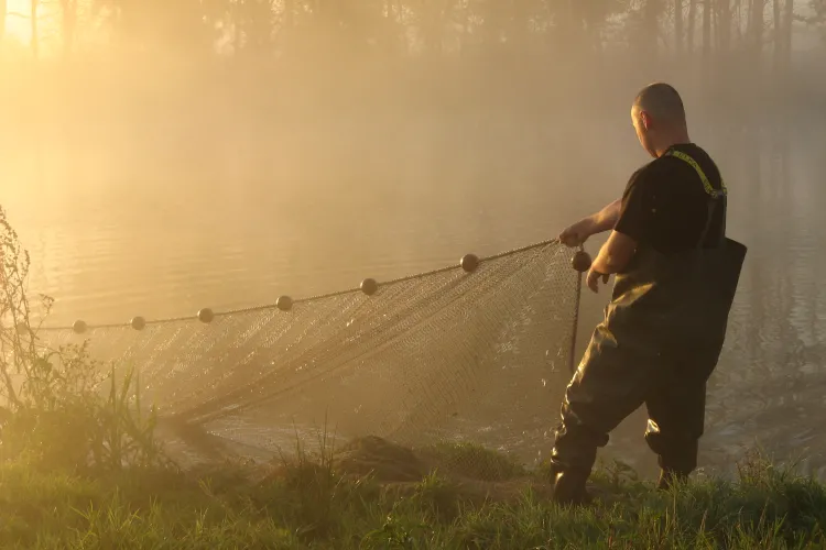 Visnet ophalen in zonsopgang