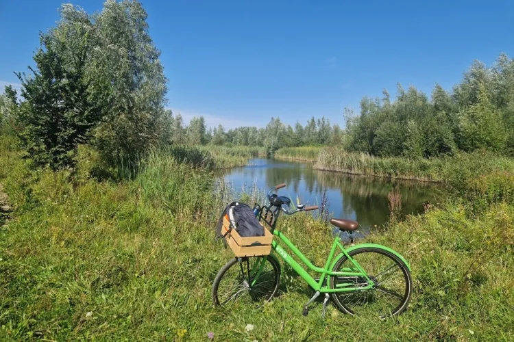 Monitoring van de ecologische kwaliteit van groengebieden en verbindingszones in de Gemeente Amsterdam