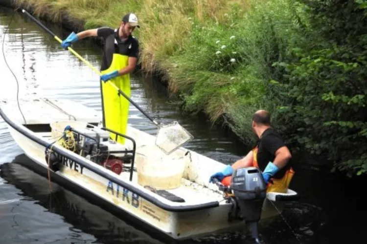 Vissen in de Barneveldse Beek