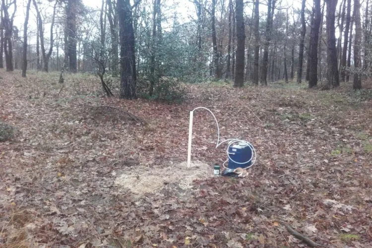 De BioBuis als nieuwe standaard?