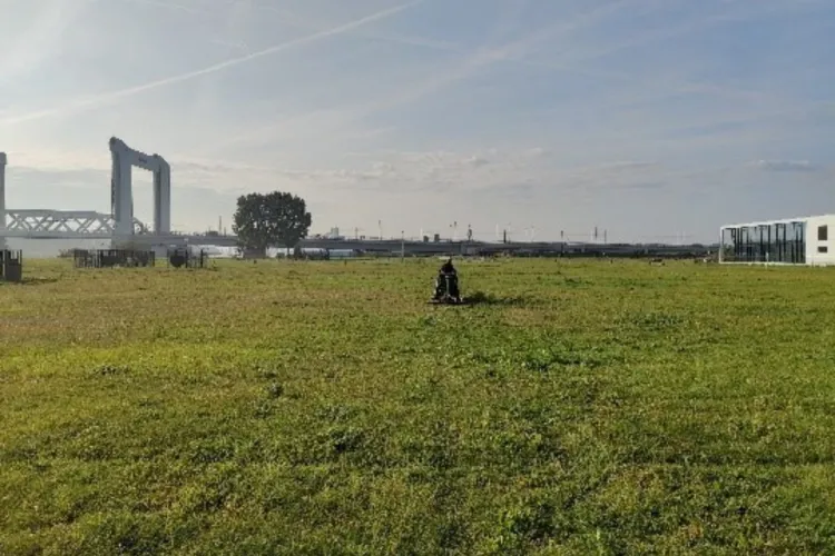 3D-Grondradar maakt scan van kabels- en leidingenstrook Rotterdam mogelijk