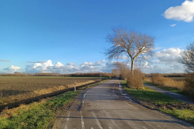 Milieukundige bodemonderzoeken voor Waterschap Scheldestromen