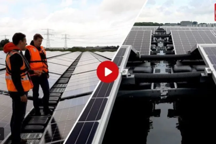 Welke gevolgen hebben drijvende zonneparken voor de ecologie?