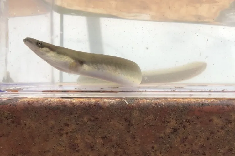 Nieuwe Beleidsregel watergunningverlening waterkrachtcentrales van kracht