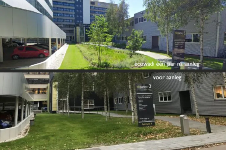 Stad en land baat bij EcoWadi