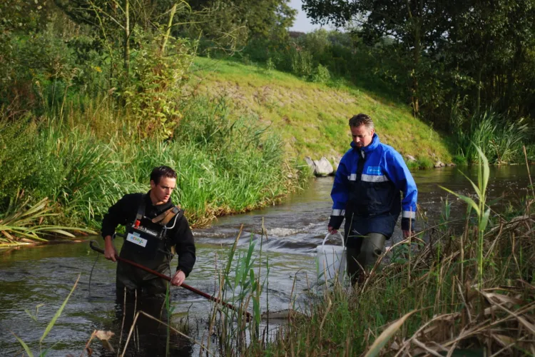Publicatie op Nature Today: vergelijking eDNA en elektrovissen