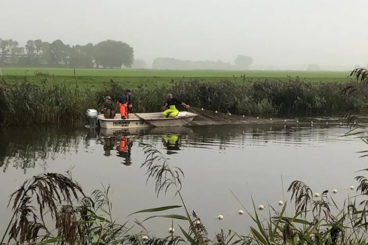 Visstandonderzoek in Friese wateren