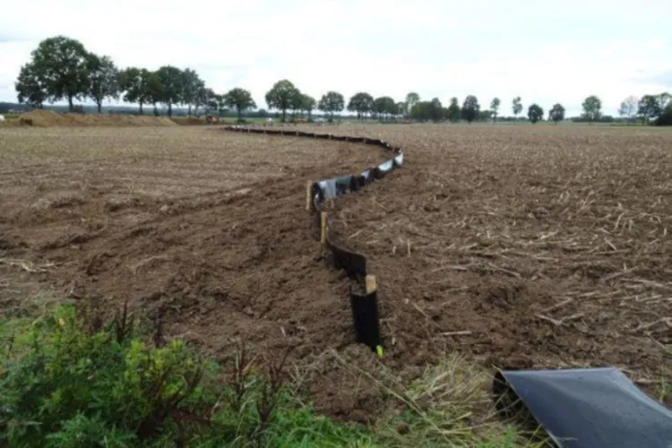 Praktische aanpak met 'Gedragscode soortenbescherming gemeenten' voorkomt lange doorlooptijden