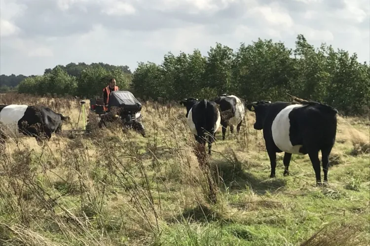 Speuren naar oude ronde toren met de 3D-radar