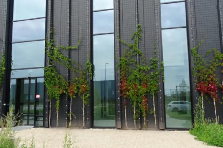 Een natuurinclusief distributiecentrum, hoe pakt dat uit?