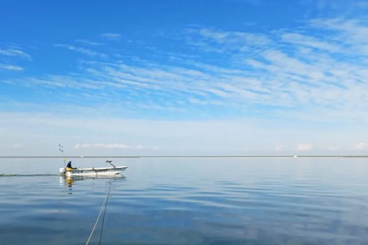 Waarom vinden we weinig oude vissen in het IJsselmeer?