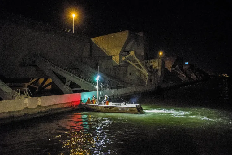 Hebben vissen baat bij de kier in de Haringvlietsluizen?
