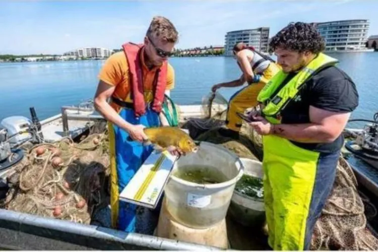 KRW visstandonderzoek voor waterschap Hollandse Delta van start