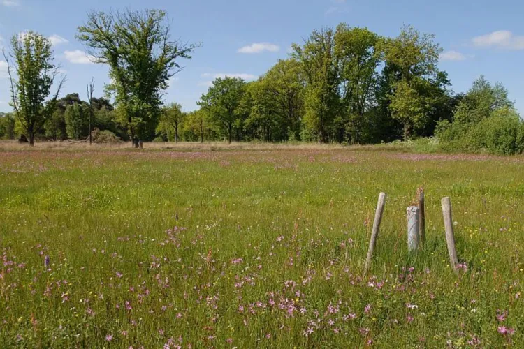 Landschapsecologische systeemanalyse (LESA) vergroot kans op succes bij natuurherstel