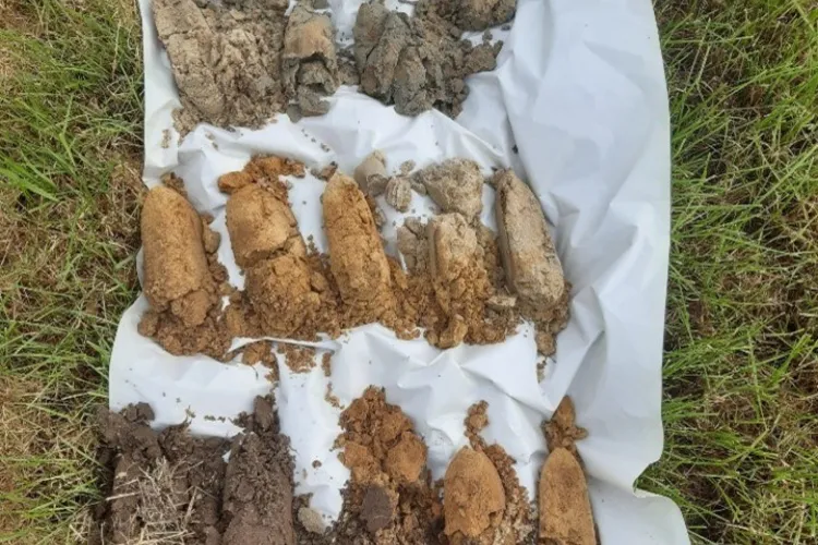 Collega Jan Vermeer over nutriëntenonderzoek