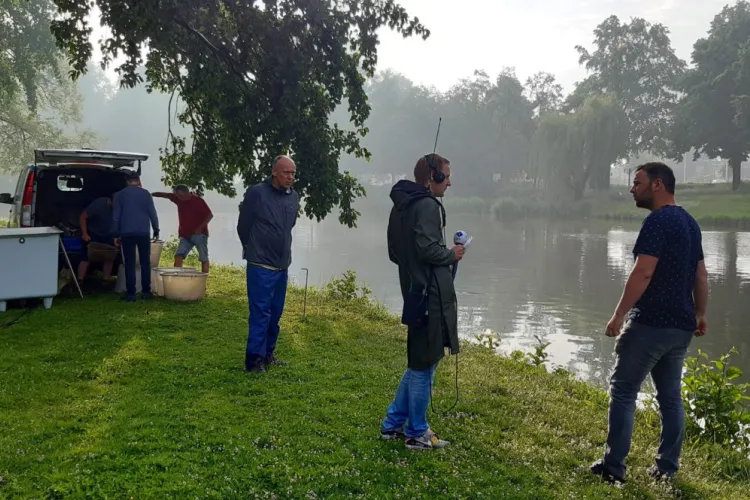 Wegvangen van de rode Amerikaanse rivierkreeft in Ede