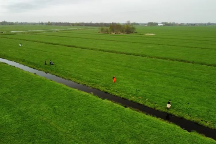 Wegvangen rivierkreeften heeft zin