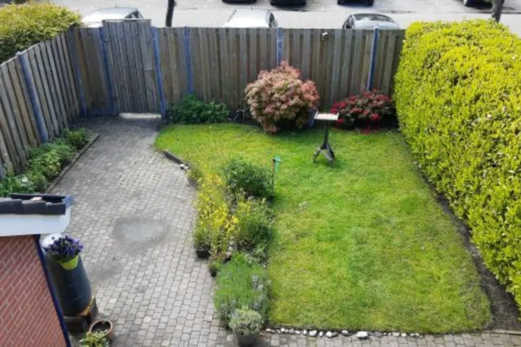 Duizend soorten in de tuin van Rudy