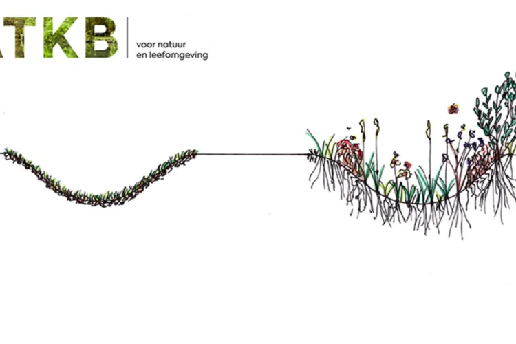Waarom infiltreert regenwater beter via een EcoWadi?