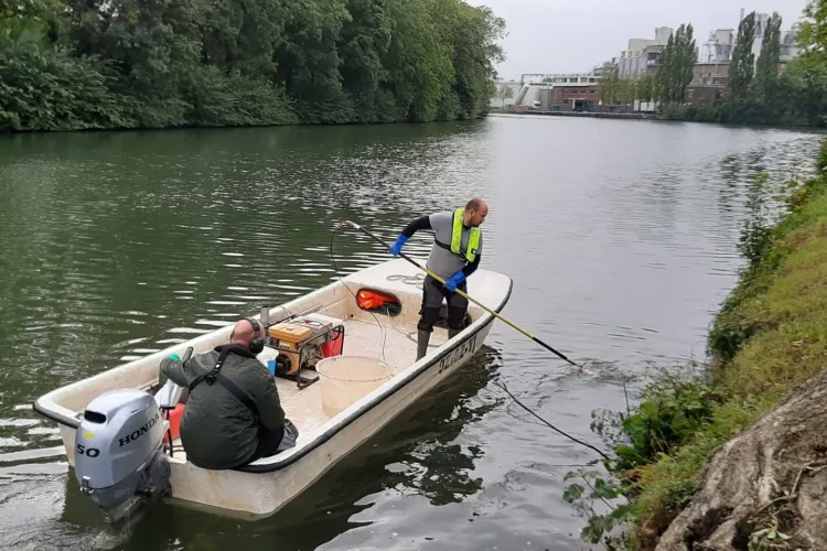 Visstandonderzoek in Merwedekanaal