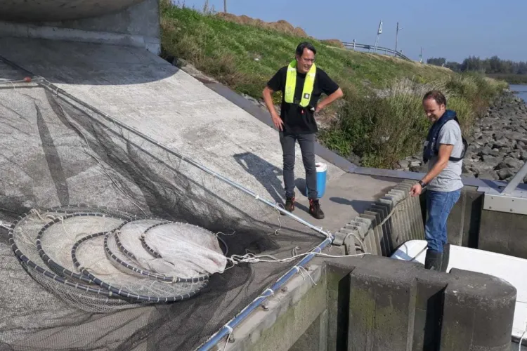 Visveiligheid van gemaalpompen op basis van NEN 8775