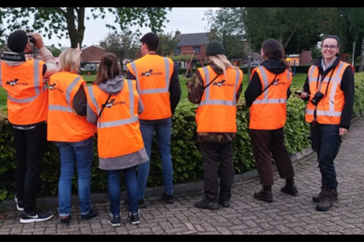 Veiligheid bij vleermuisonderzoek
