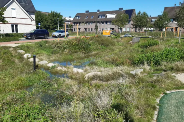 Werkt een waterberging zoals bedoeld is?