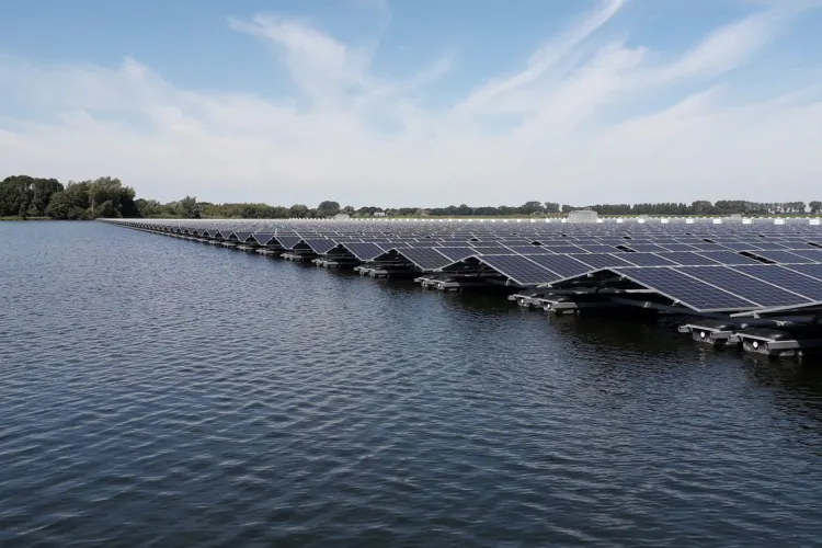 Eerste resultaten ecologische effecten drijvend zonnepark