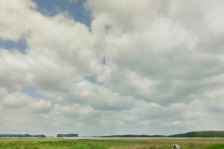 Wat is de impact van zonneparken op onze natuur?