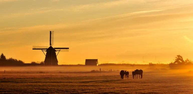 Inventarisatie en monitoring