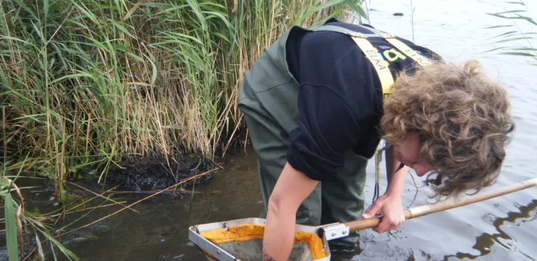 Cursussen en educatie Terrestrische Ecologie