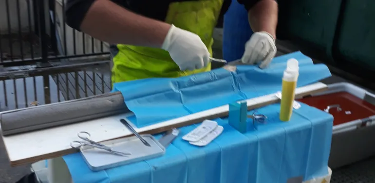 Telemetrisch onderzoek