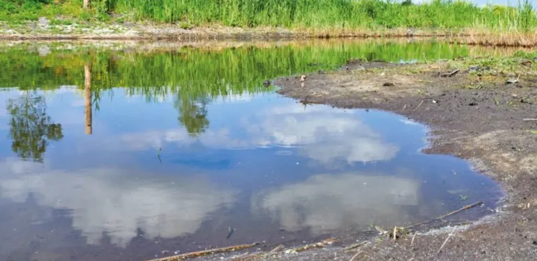 Kostenramingen en haalbaarheidsstudies