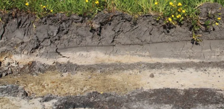 Geofysisch Onderzoek