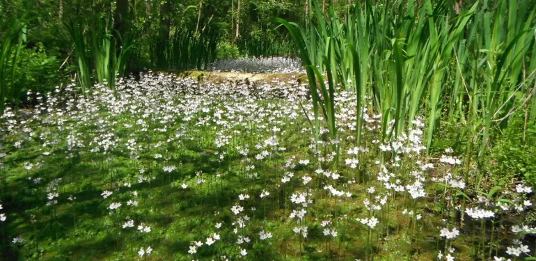 Incompany -trainingen