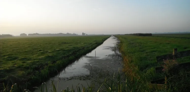 Agrarisch natuurbeheer