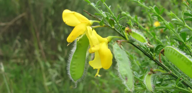 Cursussen Natuurwetgeving