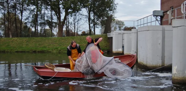 Vispassage monitoring met vangtuigen