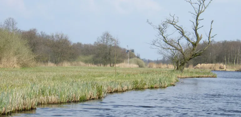 NatuurNetwerk Nederland