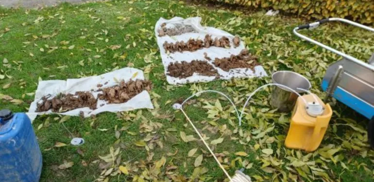 Infiltratieonderzoek