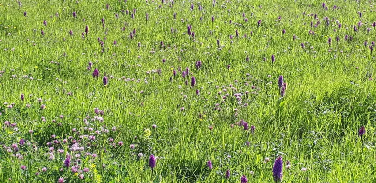 Natura 2000 toetsingen