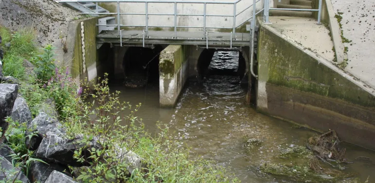 Vispassage monitoring bij andere kunstwerken