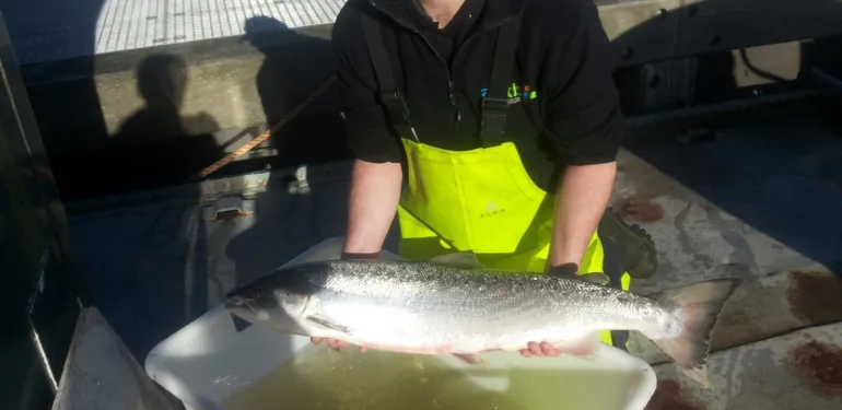 Soortgericht onderzoek