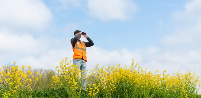 Teamleider Terrestrische Ecologie