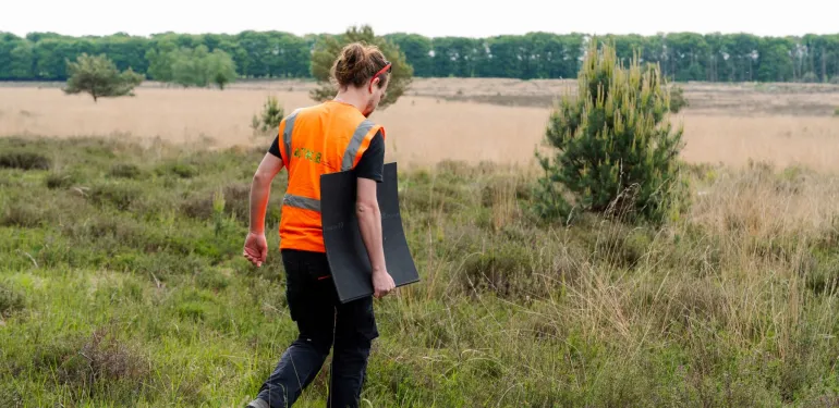 Adviseur Terrestrische Ecologie
