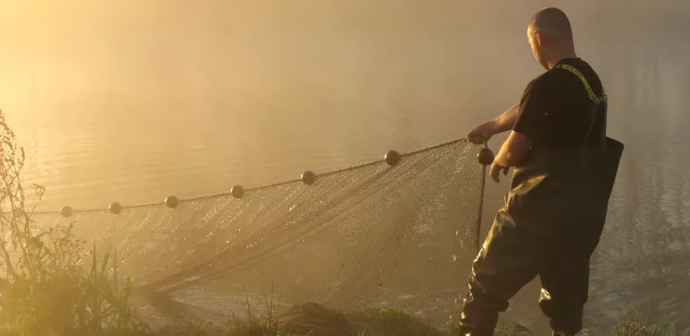 Visnet ophalen in zonsopgang